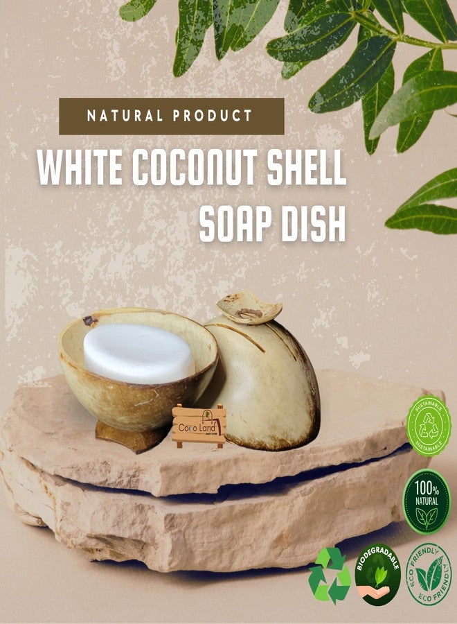 Coco Land White Coconut Shell SOAP Dish (Pack of 1) Coconut Oil Polished Natural Soap Pot/Soap Stand/Bathroom Decoratives/Soap Holder/Soap Case/Soap Box - Image 5